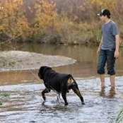 Roxanne Denboer's photo