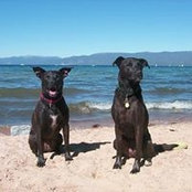 Eric Burke's photo