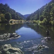 Lindsay Roy's photo