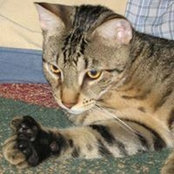 Marcia Hunt's photo