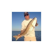 Gene Kingerys billede