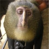 Corinne Perkins's photo