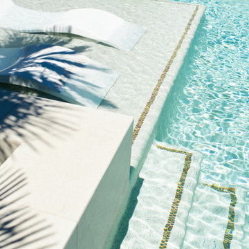 Pool, Palms and Prickly Pear