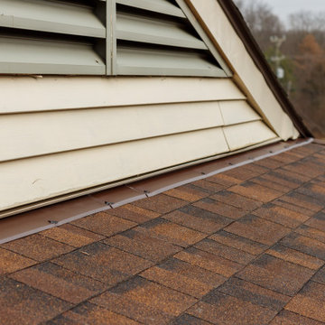 Mighty Dog Roofing of Ann Arbor Owens Corning Platinum Roofing Contractor