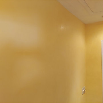 Venetian Plastering on Walls (After)