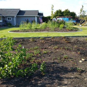 Edible Front Yard