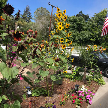 Landscape Maintenance