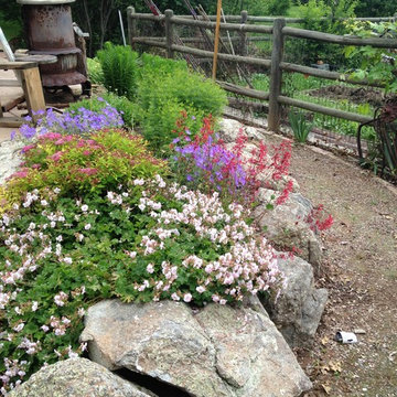 Artist's country garden