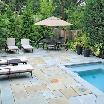 Neighbor's Pool and Rain Garden