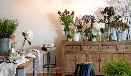 Houzz Quiz: Quanto è Ecologico il Tuo Stile di Vita?
