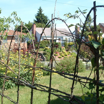 Arbors/Pergolas/Fences