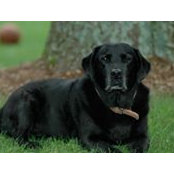 margaret gabay's photo