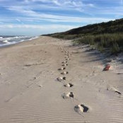 Tia Severson's photo