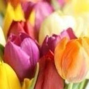 Елена Маркова's photo