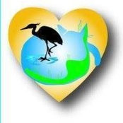 Marcy LaHart's photo