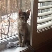 Sylvie Maher's photo