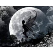 Amanda Ferry's photo
