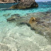 Sarah Ftorek's photo
