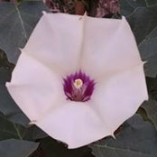 Karen Sherwood's photo