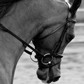 Deanna Pearson's photo