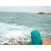 Marwa Zaky's photo