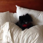 Deborah Talbot's photo
