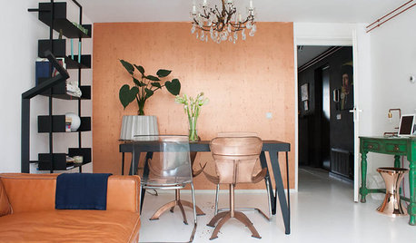 Dutch Houzz: A Crush On Copper Warms Masculine Apartment