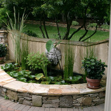 Water Features