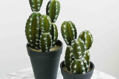 Botanical Faux Cactus