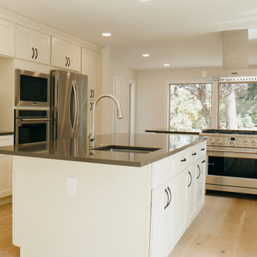 Bellevue Full Home Renovation by Levite Construction Co.