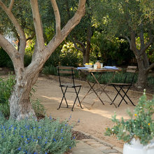 garden ideas