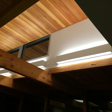 Wall & Hanging Fixtures