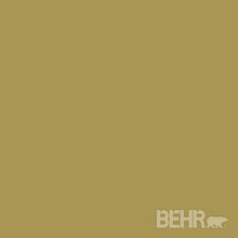 paint color