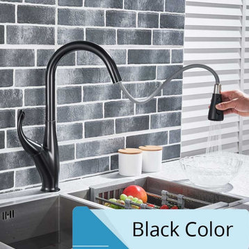 Single Handle Pull Out Stream Spray Kitchen Spout, Black