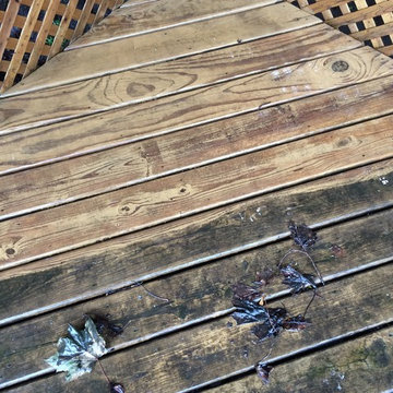 July 2015 Pool Deck