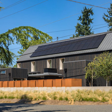 Soft Box House