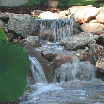 Koi Ponds and Water Gardens