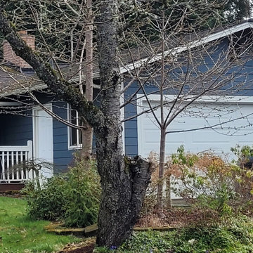 Homes in Kirkland