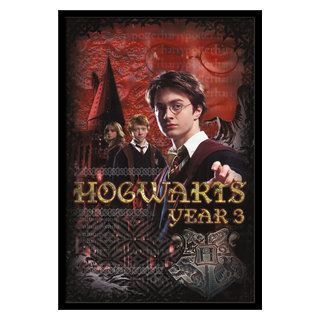 Trends International 24X36 Harry Potter and the Sorcerer's Stone - One  Sheet Framed Wall Poster Prints Black Framed Version 24 x 36