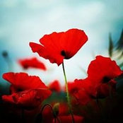Maggie Libura's photo