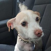 Martha Russell Bennett's photo