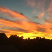 Carrie Bleich's photo