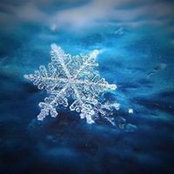 Sherry Breeden's photo