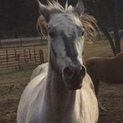Shelly Till's photo