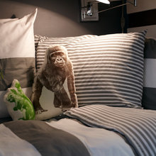 Fynn's room
