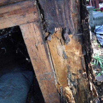 Discovering Dry Rot