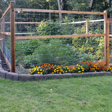 raised bed area