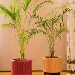 Riwaayat - Plant Pots & Planters