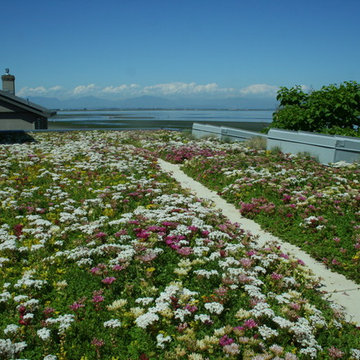 Boundary Bay Beach Home