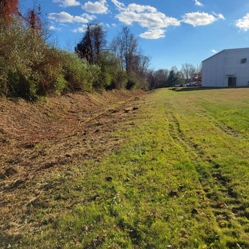 Land Clearing and Brush Cutting Project